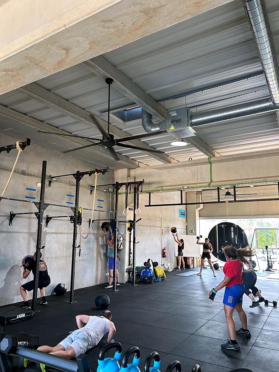 Entrenamiento funcional en grupo reducido con balones medicinales